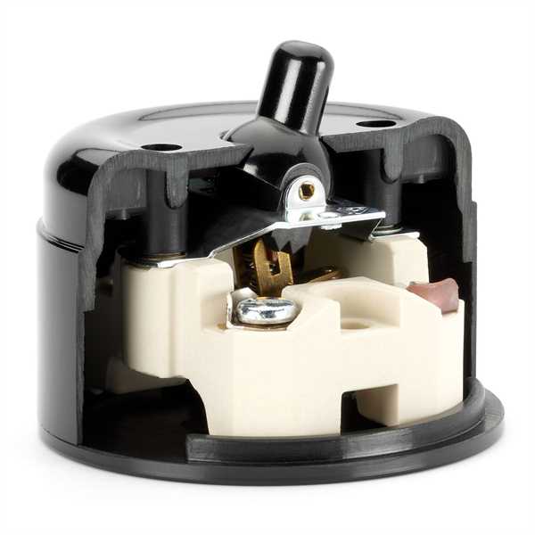 Surface-mounted toggle alternation light switch Bakelite image