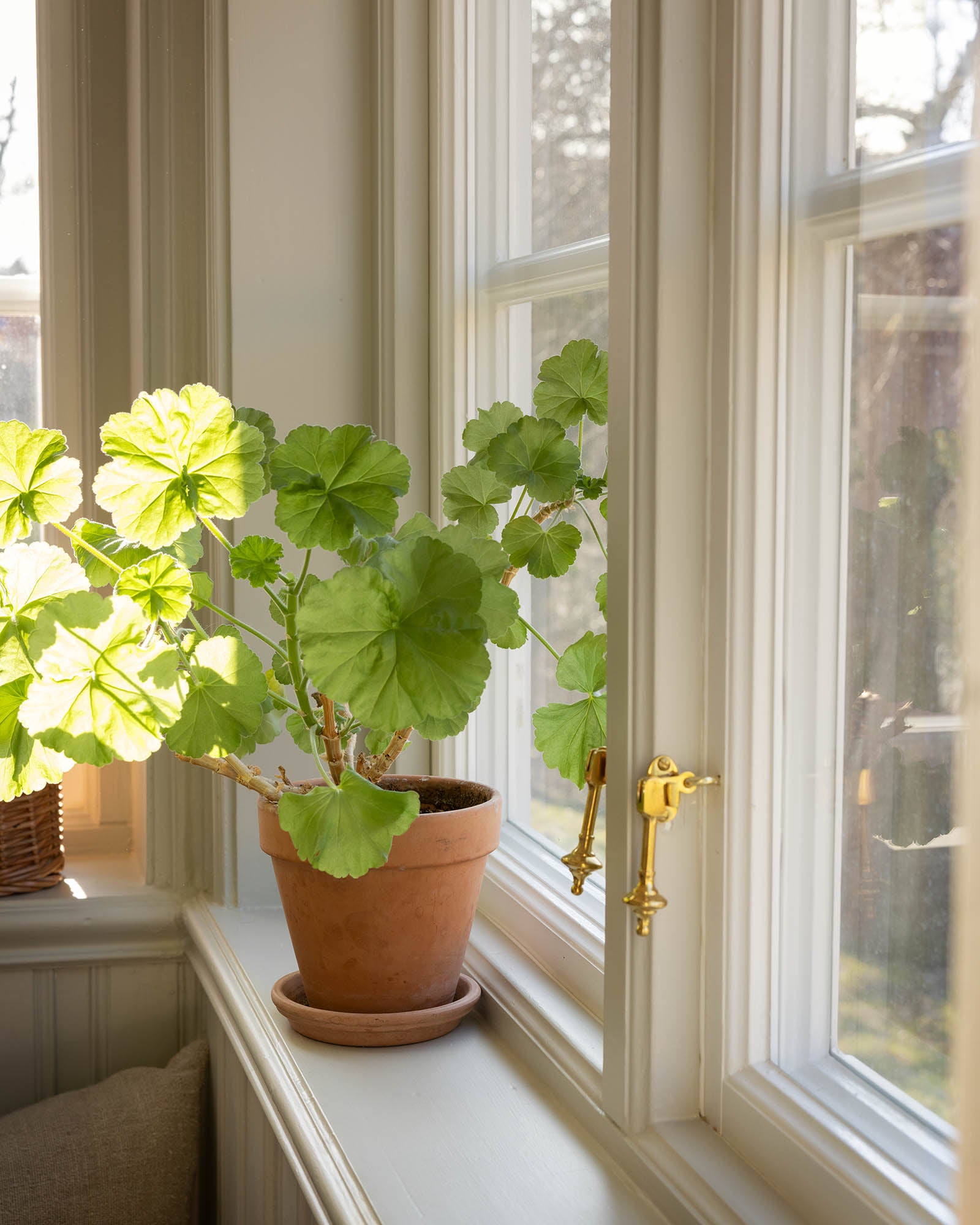 Vindushaspe - Næsman 1332 messing, kort/sløyfe image