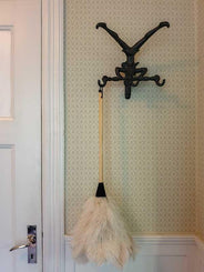 Featherduster - Ostrich, white thumbnail image