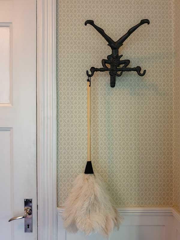 Featherduster - Ostrich, white image