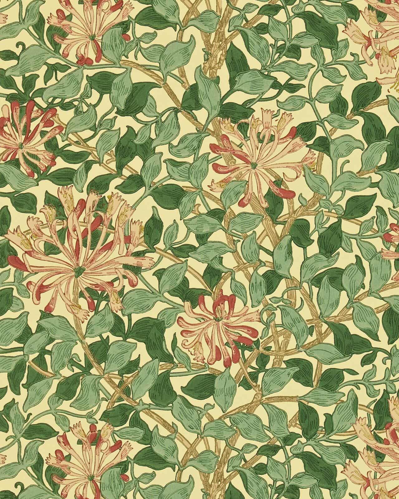 William Morris & Co. Wallpaper - Honeysuckle Green/Coral/Pink image