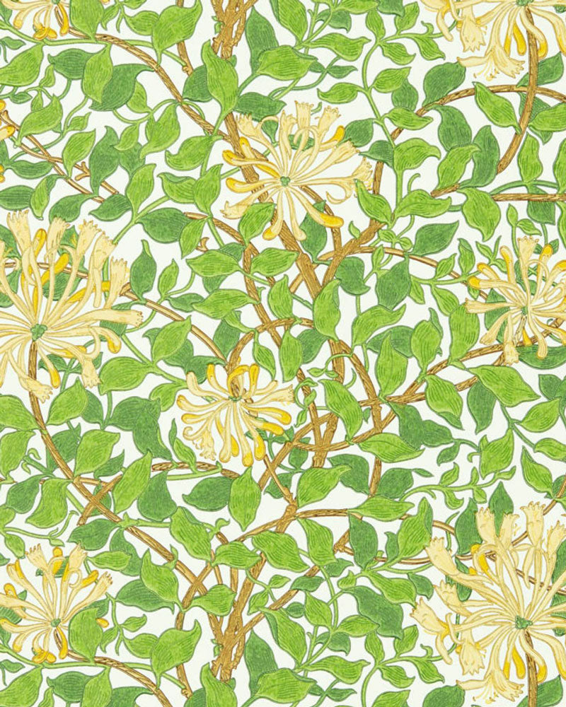 William Morris & Co. Wallpaper - Honeysuckle Cream/Chocolate image