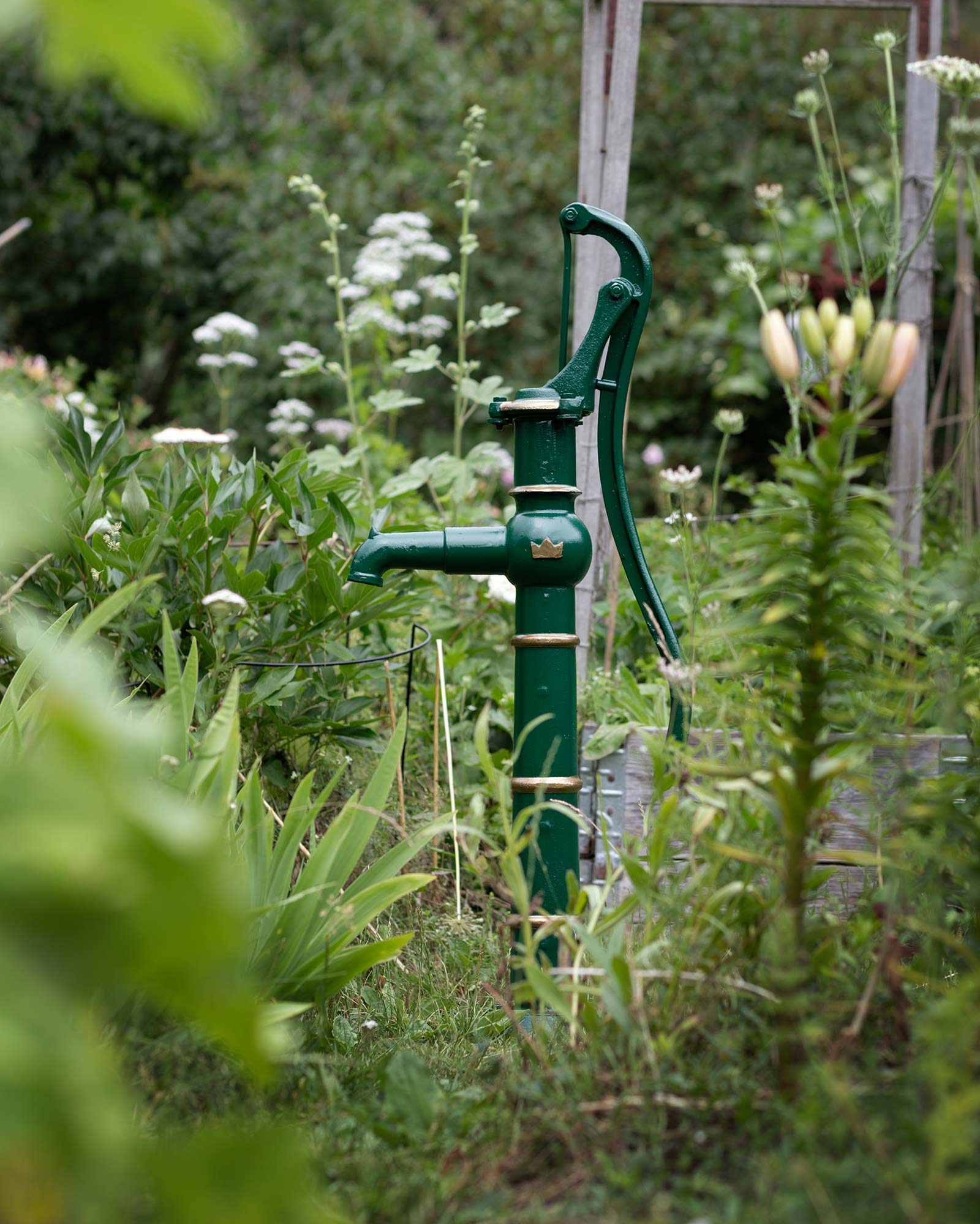 Gårdspumpe - Kronan image