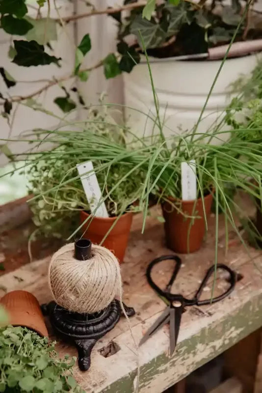 Schnurhalter Gusseisen - Schere & Schnur image