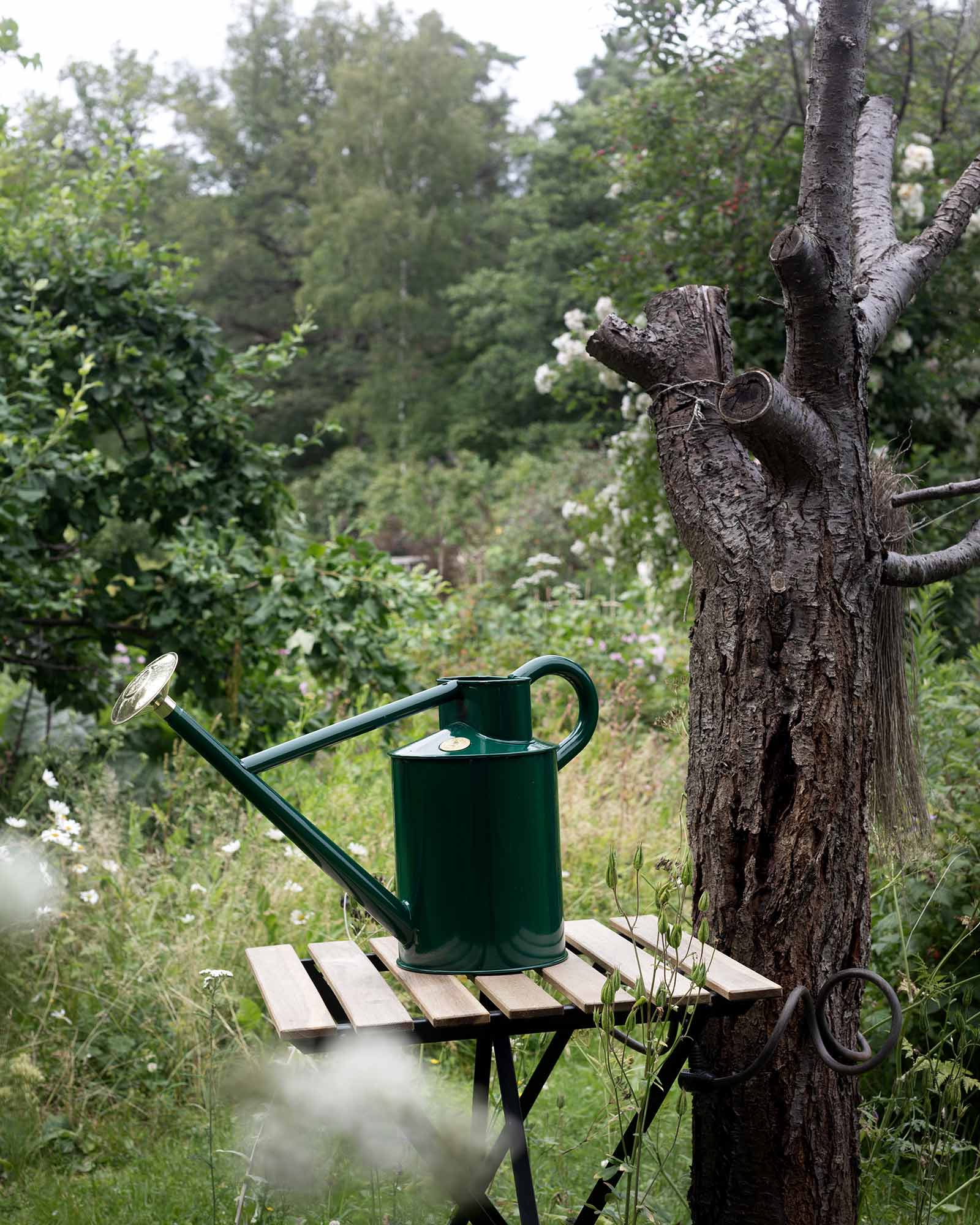 Water can - Green 5 L image