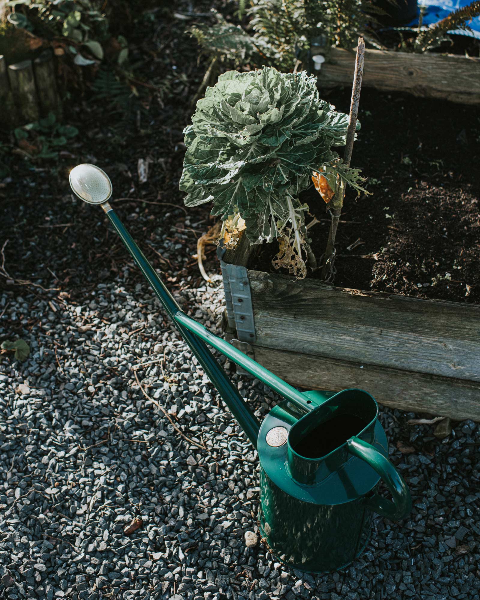 Vandkande med lang tud - grøn, 9 L image