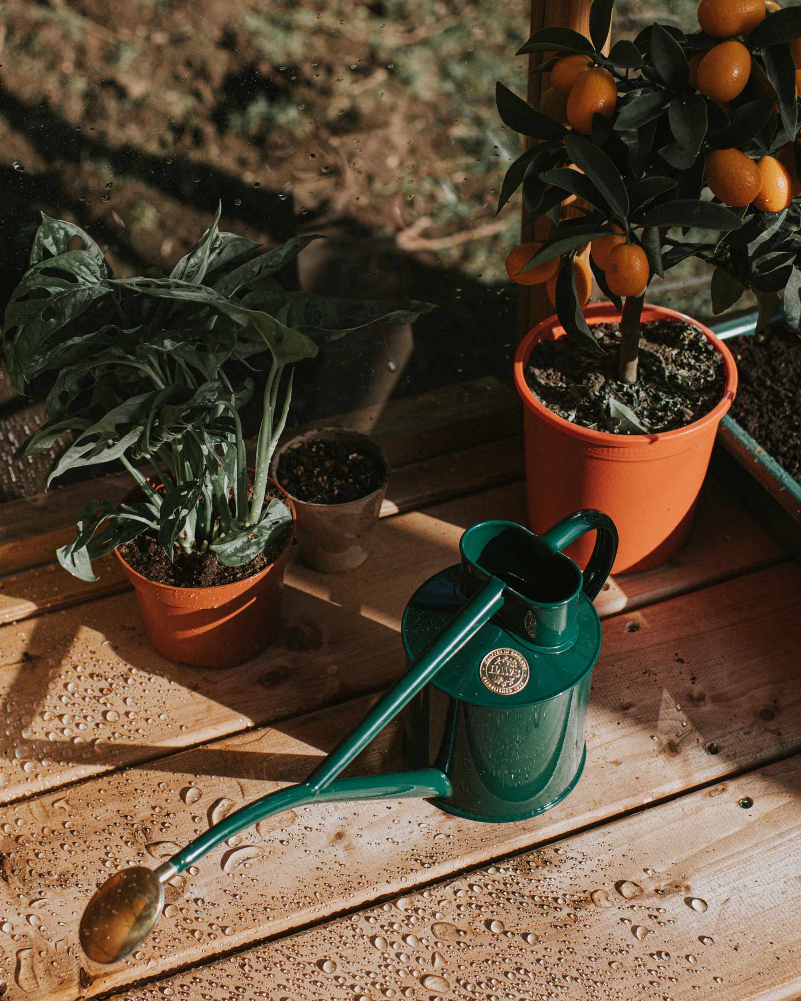 Watering Can - Indoor - Green 1 L (33.8 oz.) image