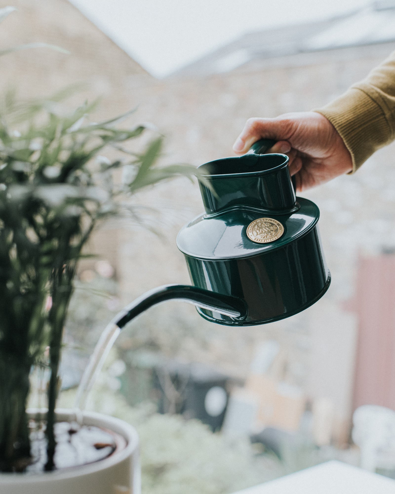Gießkanne für den Innenbereich – Grün, 0,5 L image