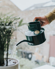 Gießkanne für den Innenbereich – Grün, 0,5 L thumbnail image