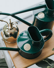 Gießkanne für den Innenbereich – Grün, 0,5 L thumbnail image