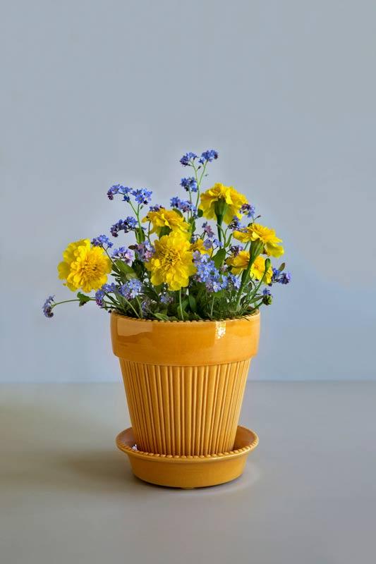 Bergs Potter Montmartre Flower Pot with saucer - Yellow 16 cm (6.3 in.) image