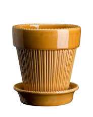 Bergs Potter Montmartre Flower Pot with saucer - Yellow 16 cm (6.3 in.) thumbnail image