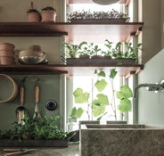 Eluttag svart porslin - ABB Decento thumbnail image