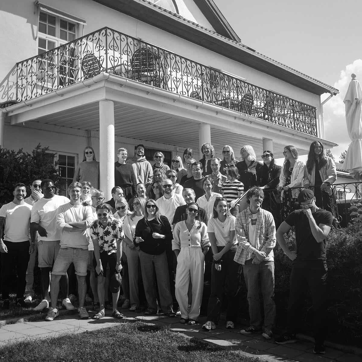 loyalty-lion-tier bg image