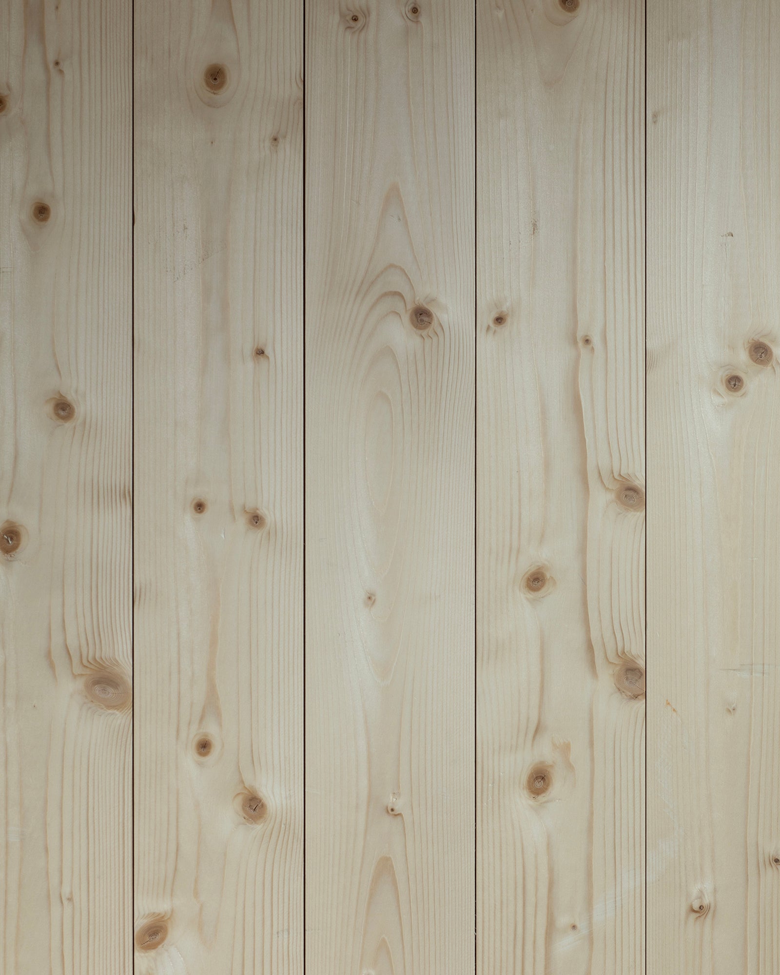 loyalty-lion-tier bg image