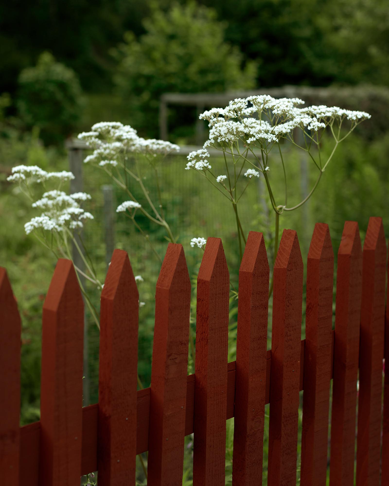 Falu Rödfärg Staket Tradition - Färdigmålad sektion gran 1750 x 1180 mm image