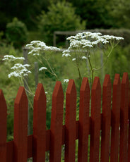 Falu Rödfärg Staket Tradition - Färdigmålad sektion gran 1750 x 1180 mm thumbnail image