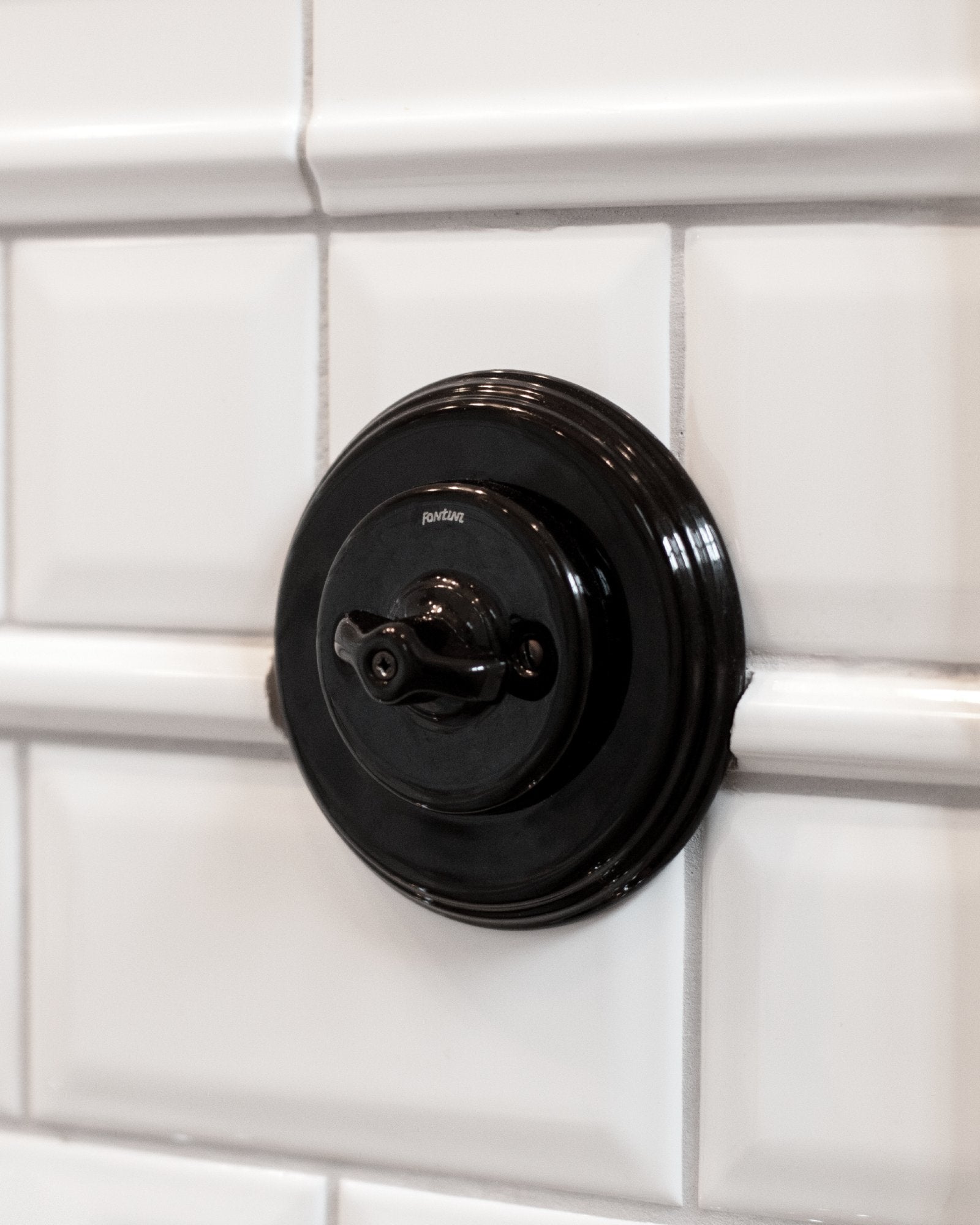 Double Dimmer - Black Porcelain Rotary Switch image