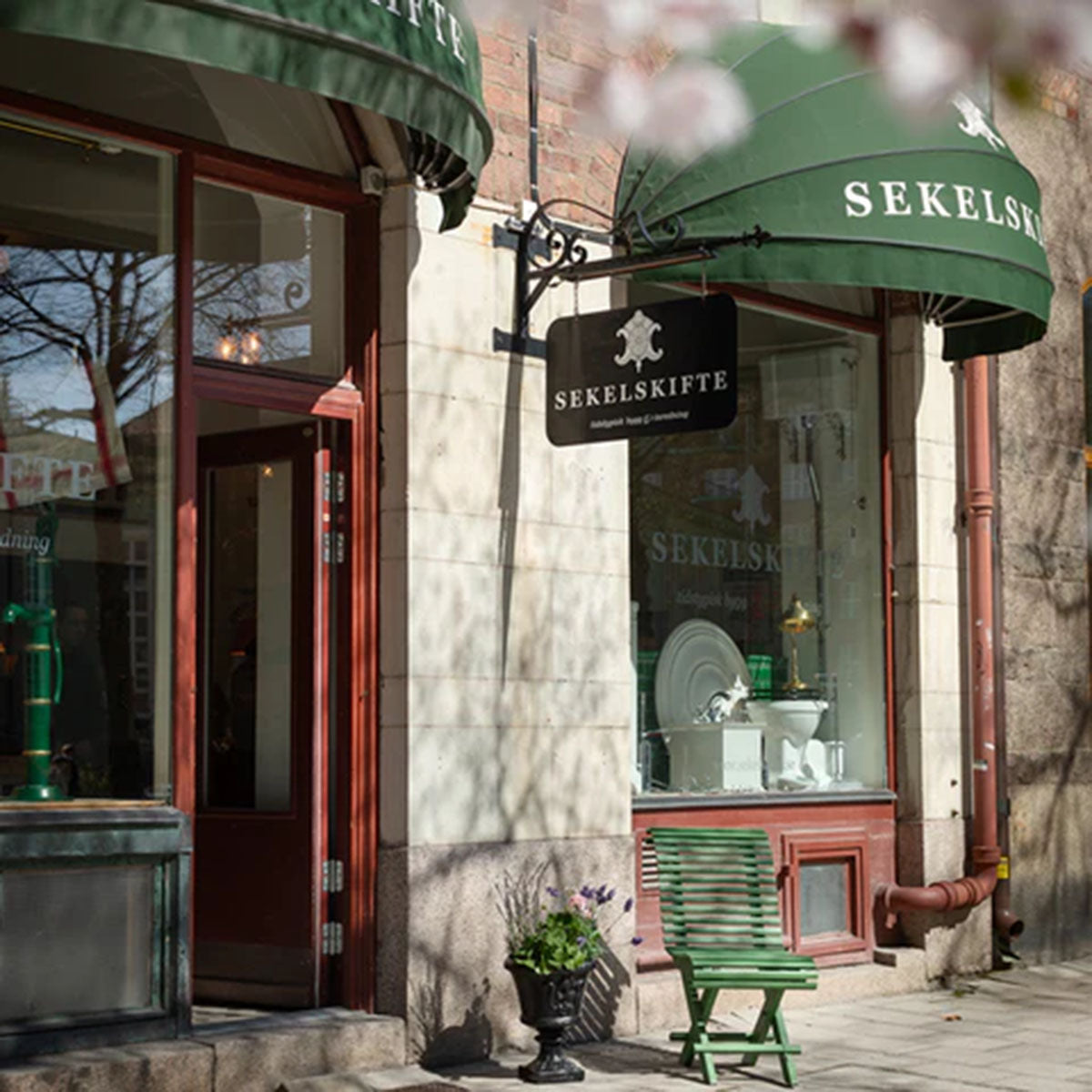 loyalty-lion-tier bg image