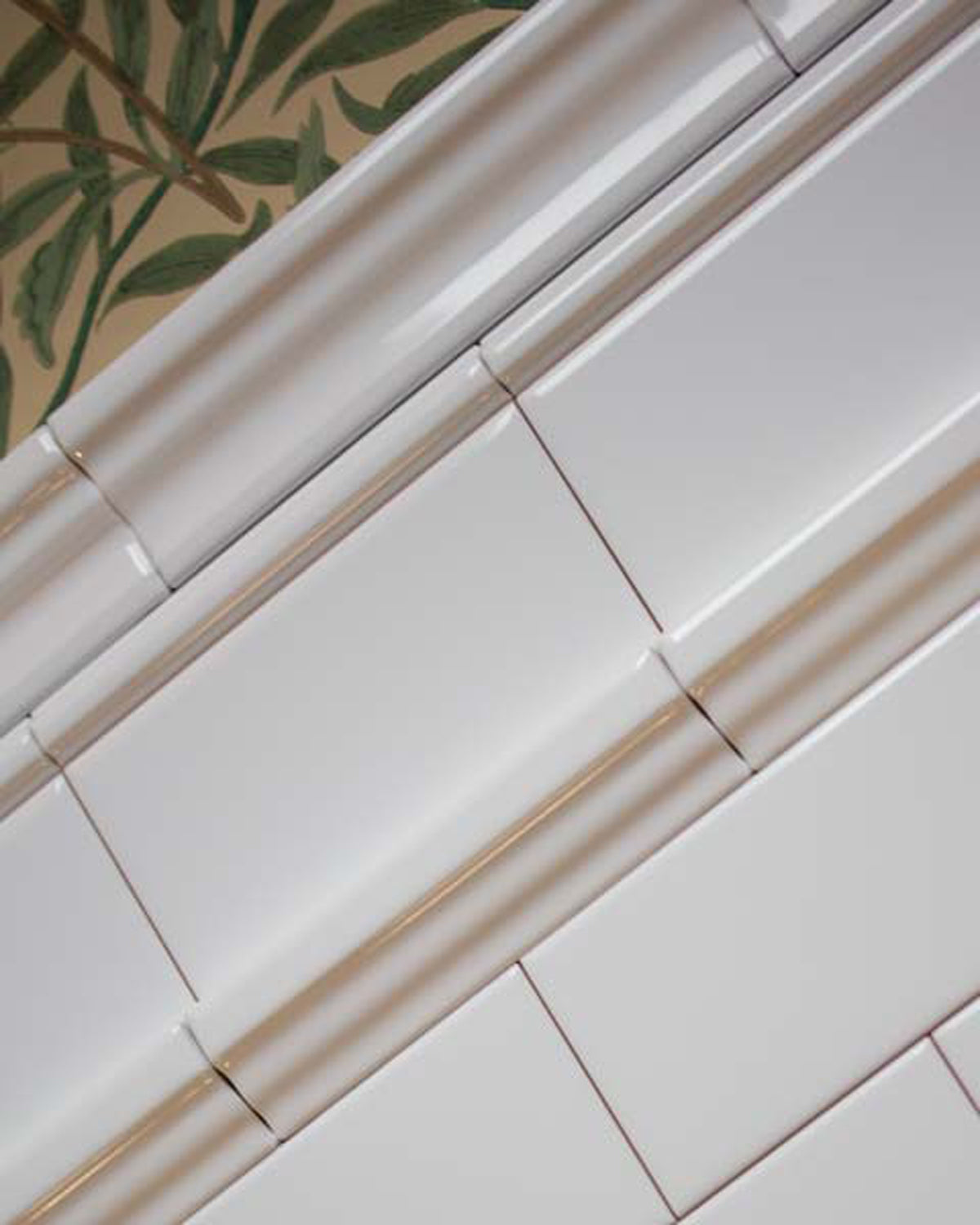 loyalty-lion-tier bg image