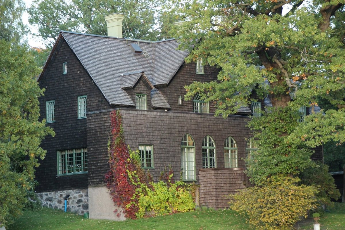 loyalty-lion-tier bg image