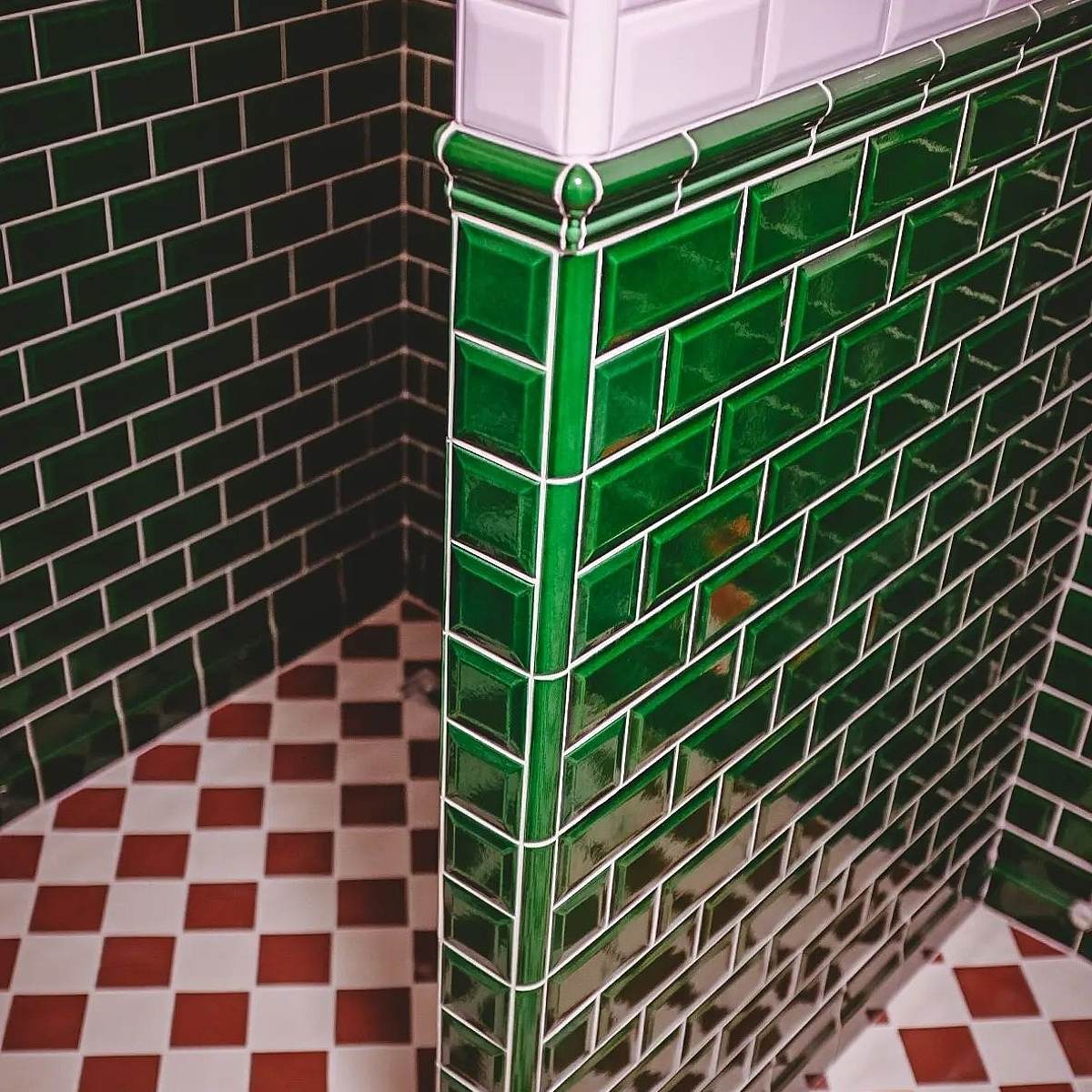 loyalty-lion-tier bg image