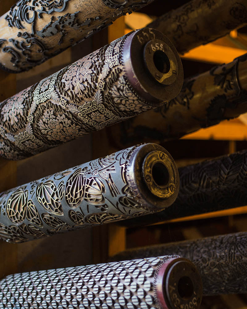 loyalty-lion-tier bg image