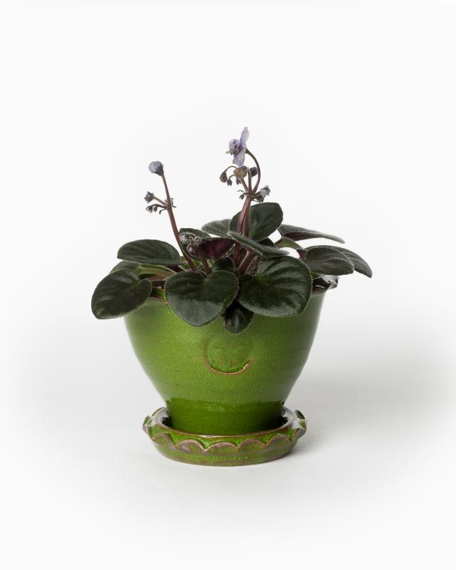 Sturehof Pot - Adelcrantz, 11 cm (4.33 inches) green image