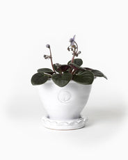 Krukke Sturehof - Adelcrantz, 11 cm hvid thumbnail image