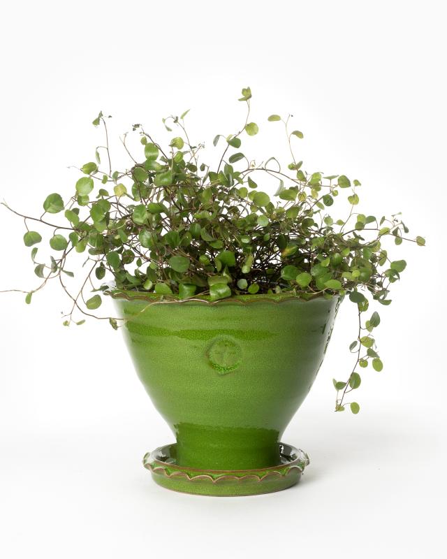 Kruka Sturehof - Adelcrantz, 17 cm grön image