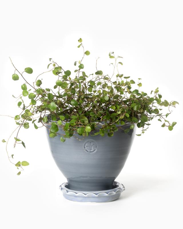 Kruka Sturehof - Adelcrantz, 17 cm grå image