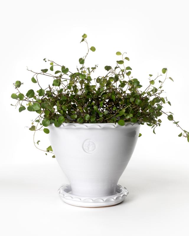 Sturehof Pot - Adelcrantz, 17 cm (6.69 inches) white image