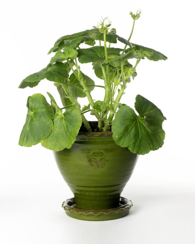 Kruka Sturehof - Adelcrantz, 21 cm grön image