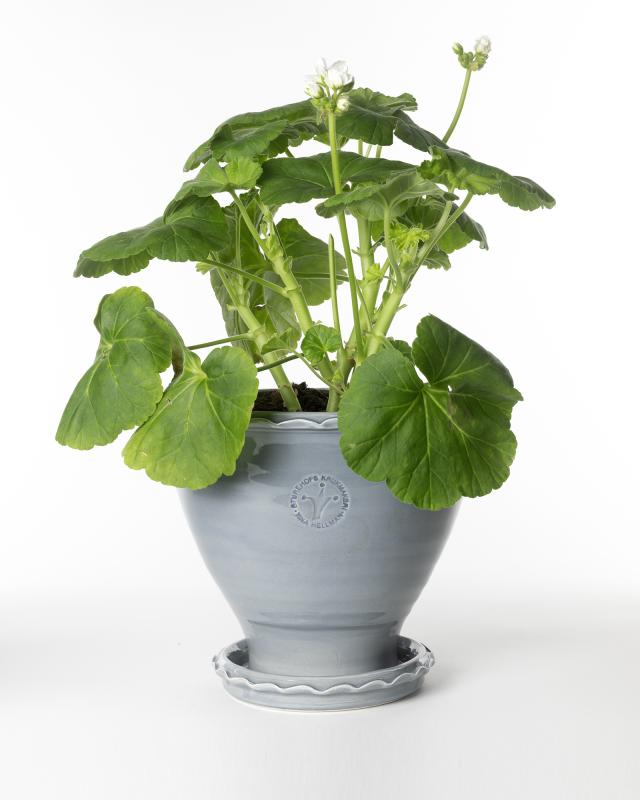 Sturehof Pot - Adelcrantz, 21 cm (8.27 inches) gray image