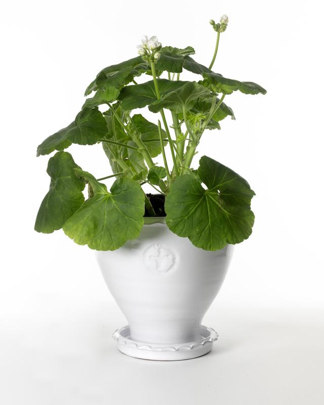 Kruka Sturehof - Adelcrantz, 21 cm vit image