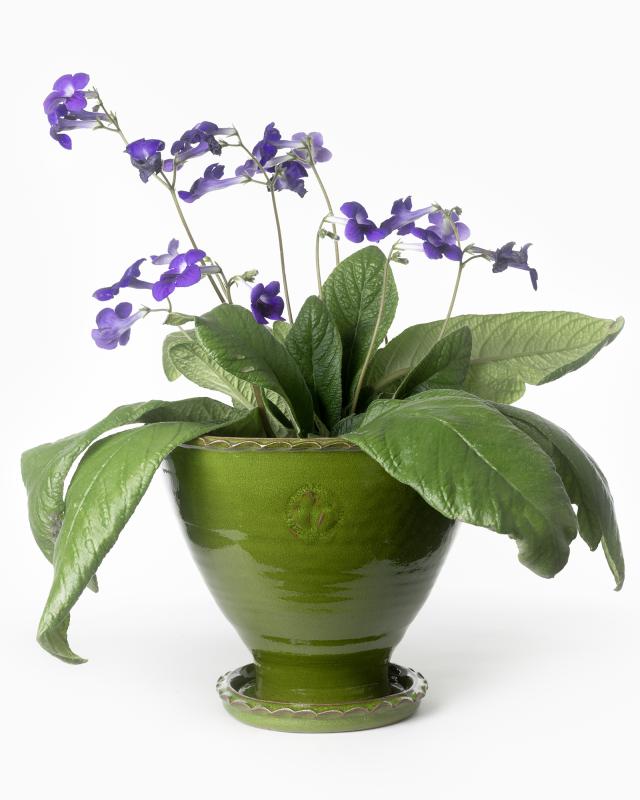 Sturehof Pot - Adelcrantz, 24 cm (9.45 inches) green image
