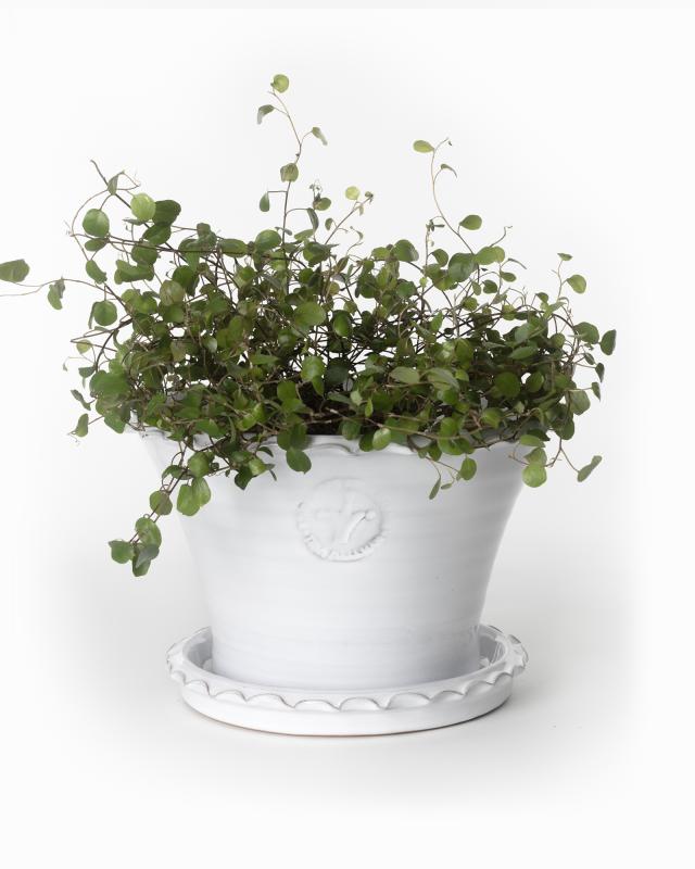 Kruka Sturehof - Liljencrantz, 20 cm vit image