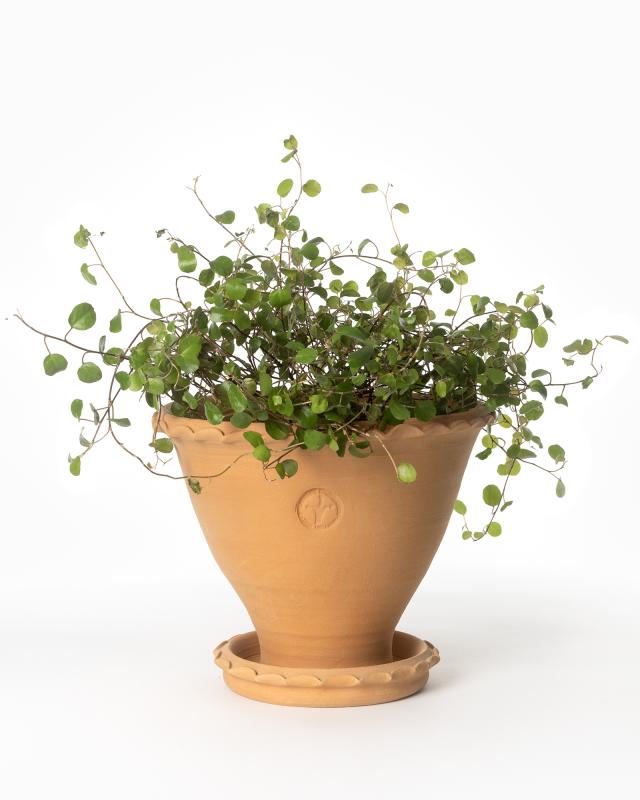 Sturehof Pot - Adelcrantz 17 cm (6.69 inches) image
