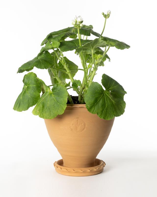 Sturehof Pot - Adelcrantz 21 cm (8.27 inches) image