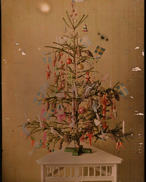 Historisches Kuriosum – Die Geschichte des Weihnachtsbaums card image
