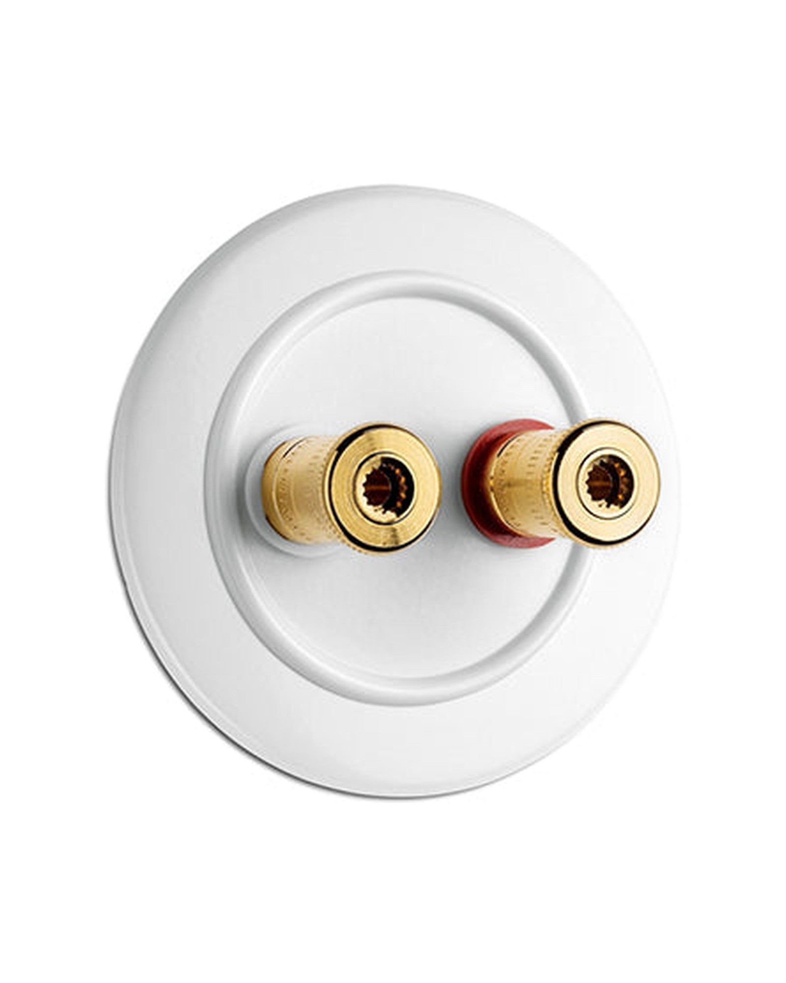 Luidsprekeruitgang - Duroplast WBT image