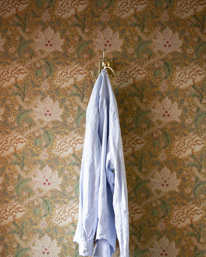 Crochet à vêtements - Quatre bras pivotants, laiton fin de siècle image