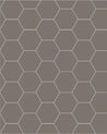 110 220 100 ANT Klinker Hexagon 10x10 cm morkgra Winckelmans Granitklinker 01