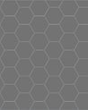 110 220 100 ARD Klinker Hexagon 10x10 cm grafitgra Winckelmans Granitklinker 01