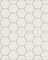 Floor Tiles - Hexagon 10 x 10 cm White - Super White BAS