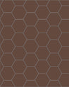 110 220 100 CHO Klinker Hexagon 10x10 cm Chokladbrun Winckelmans Granitklinker 01