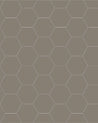 110 220 100 GRU Klinker Hexagon 10x10 cm Gra Winckelmans Granitklinker 01