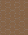 110 220 100 HAV Klinker Hexagon 10x10 cm Havana Winckelmans Granitklinker 01