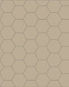 110 220 100 LIN Klinker Hexagon 10x10 cm linne Winckelmans Granitklinker 01