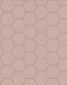 110 220 100 RSU Klinker Hexagon 10x10 cm rosa Winckelmans Granitklinker 01